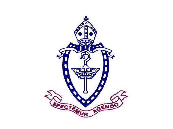 纽卡斯尔文法学校