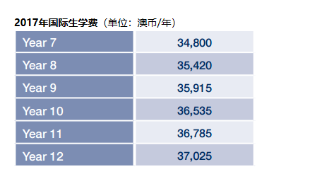  坎伯维尔男子文法学校