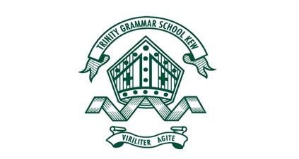 崔尼迪文法学校