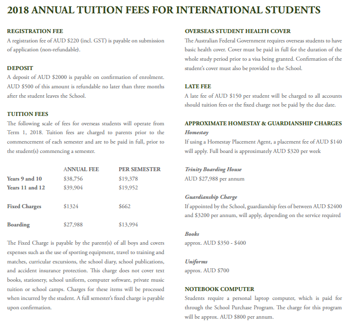 崔尼迪文法学校