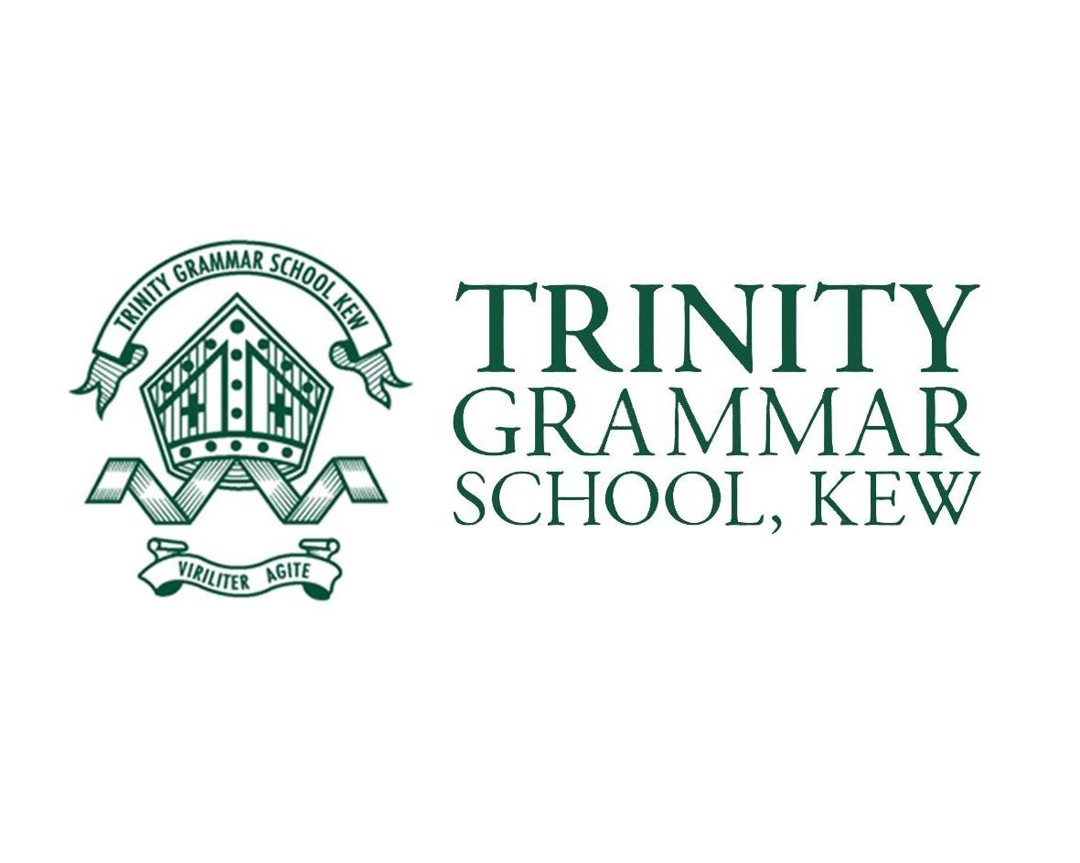 崔尼迪文法学校