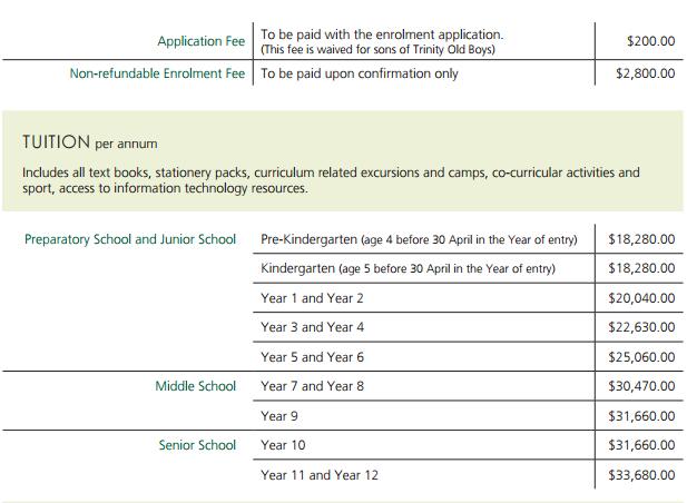 崔尼迪文法学校